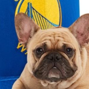 Meet your Posher, Sergio